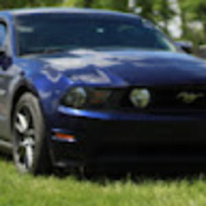 Meet your Posher, Randy